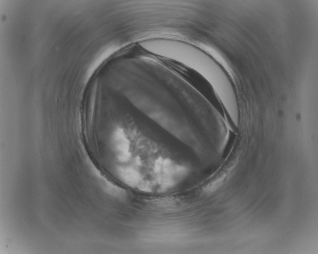 X0000075860999200610061932