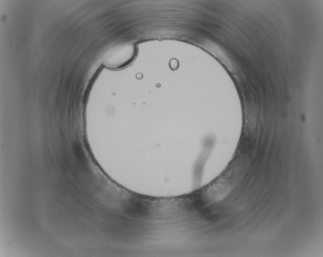 X0000075861000200610061932