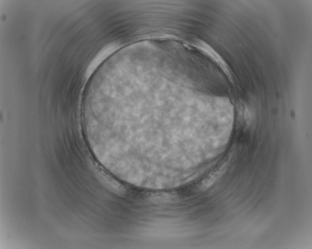 X0000075861002200610061932