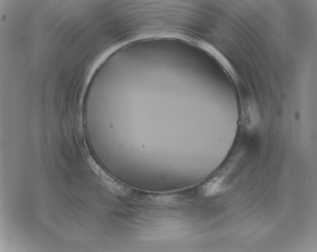 X0000075861004200610061932