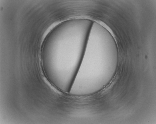 X0000075861005200610061932