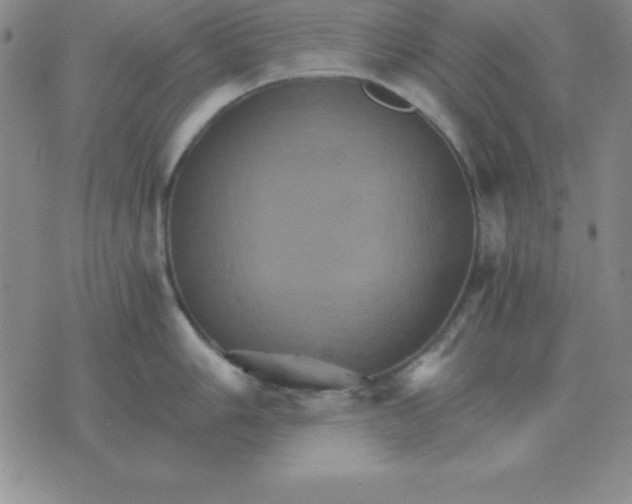 X0000075861006200610061932