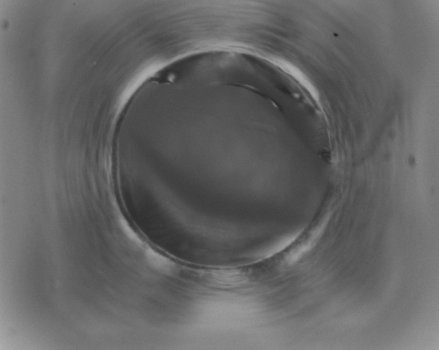 X0000075861007200610061932