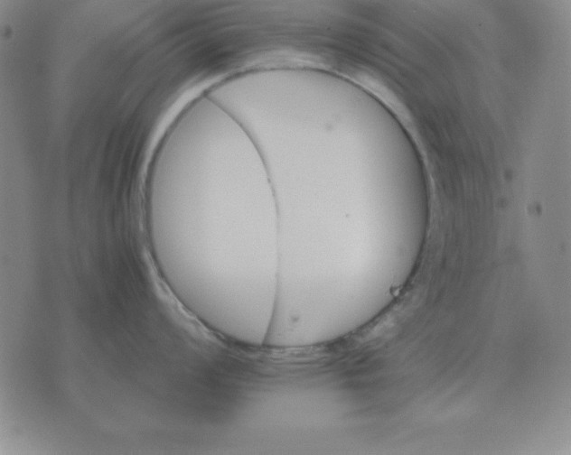 X0000075861008200610061932