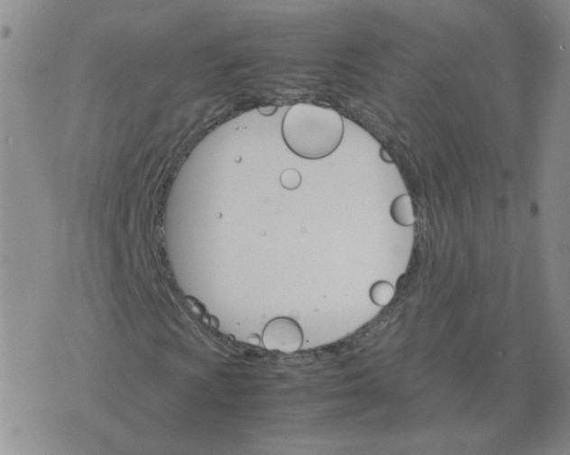 X0000075861009200610061932