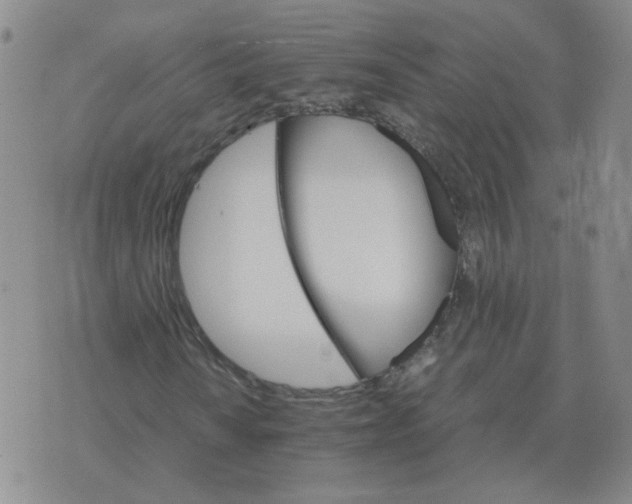 X0000075861010200610061932