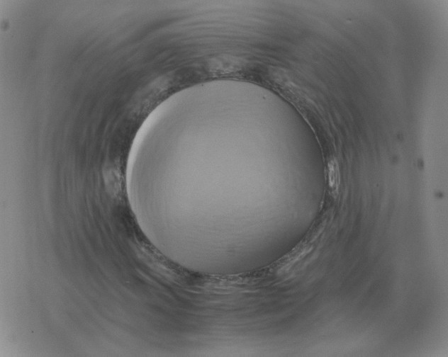 X0000075861011200610061932