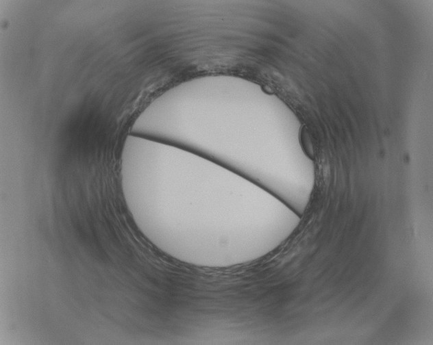 X0000075861012200610061932