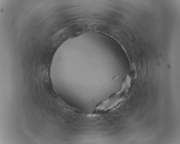 X0000075861013200610061932