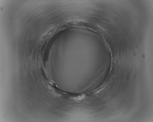 X0000075861014200610061932