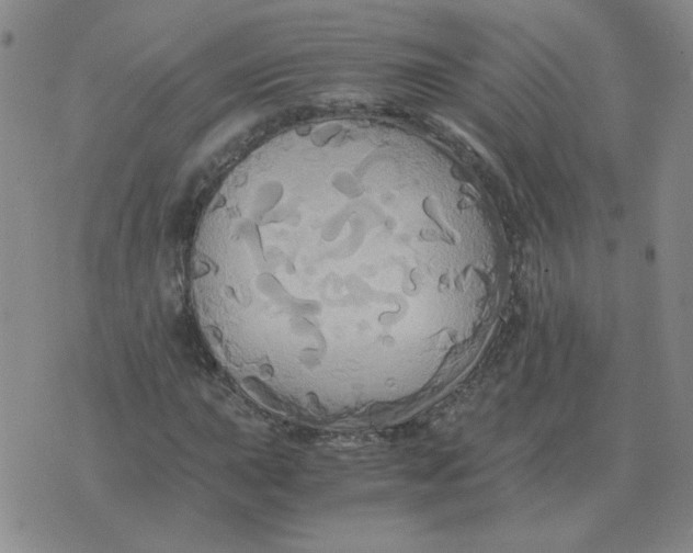 X0000075861015200610061932