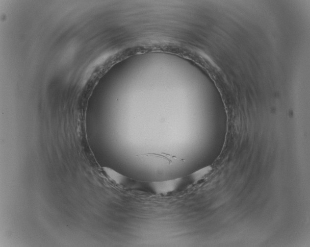 X0000075861016200610061932