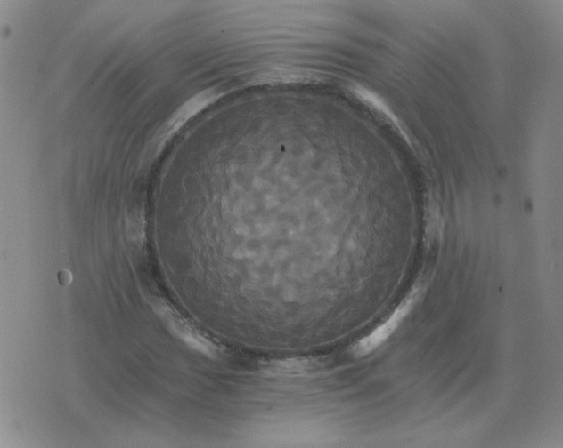 X0000075861017200610061932