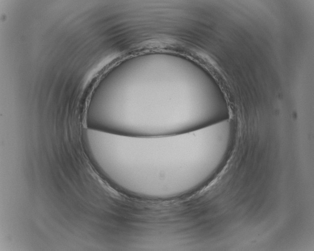 X0000075861018200610061932