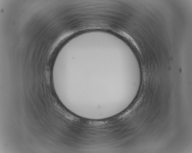 X0000075861019200610061932