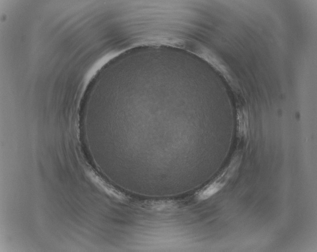 X0000075861020200610061932