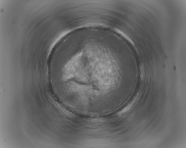 X0000075861021200610061932