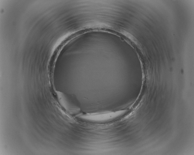 X0000075861022200610061932