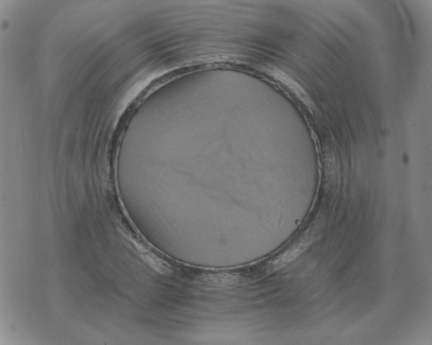 X0000075861023200610061932