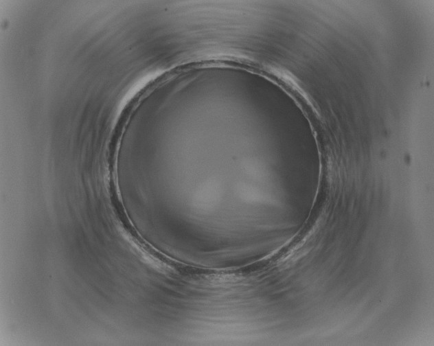 X0000075861024200610061932