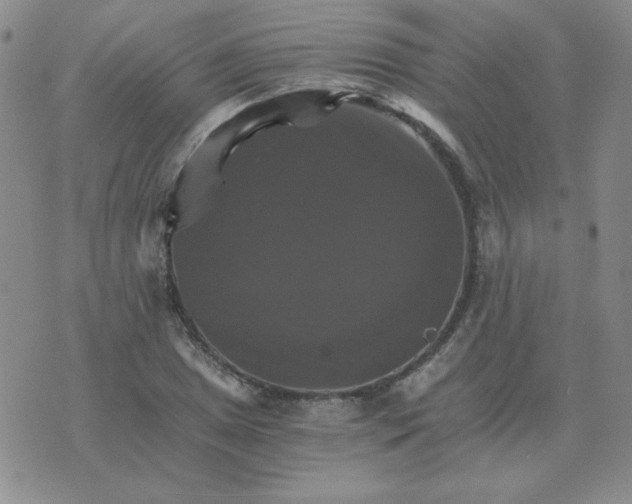 X0000075861025200610061932