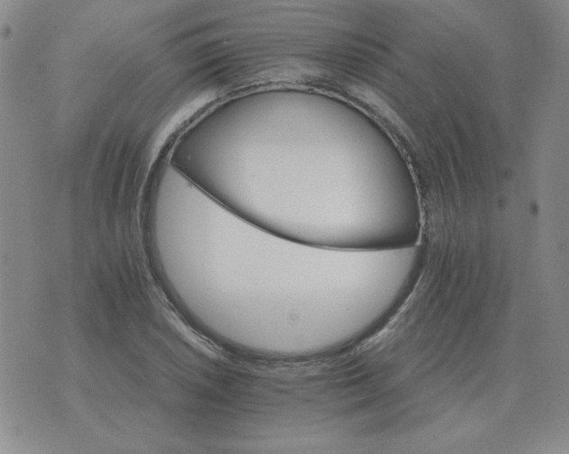 X0000075861026200610061932