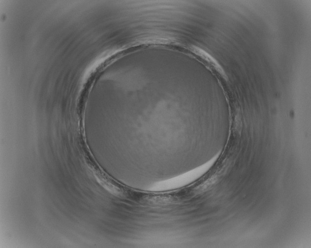 X0000075861027200610061932