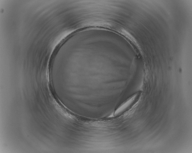 X0000075861028200610061932