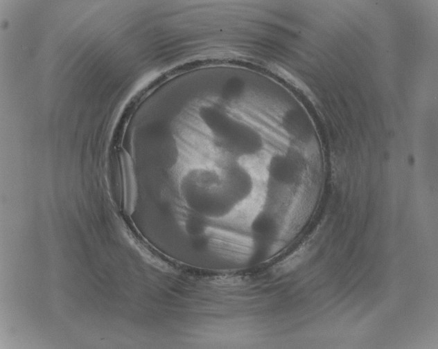 X0000075861029200610061932