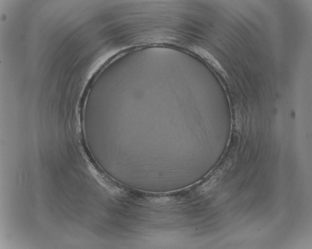 X0000075861031200610061932