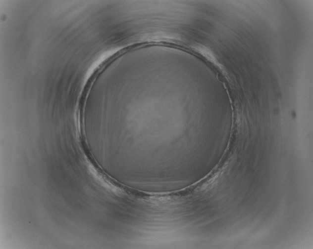 X0000075861032200610061932