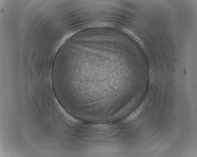 X0000075861033200610061932