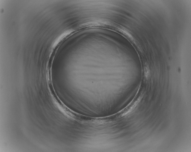 X0000075861034200610061932