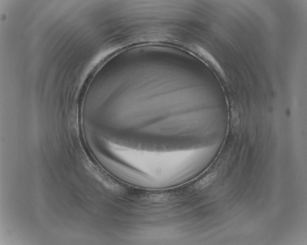 X0000075861035200610061932