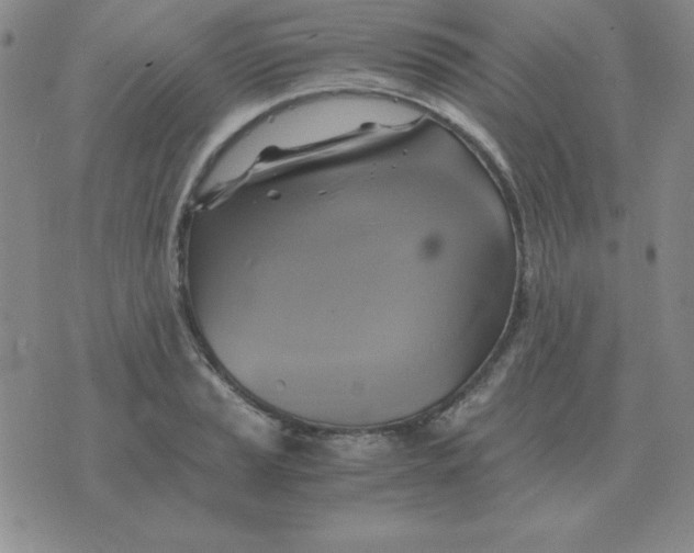 X0000075861037200610061932