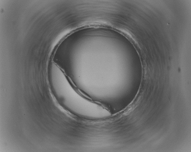 X0000075861038200610061932