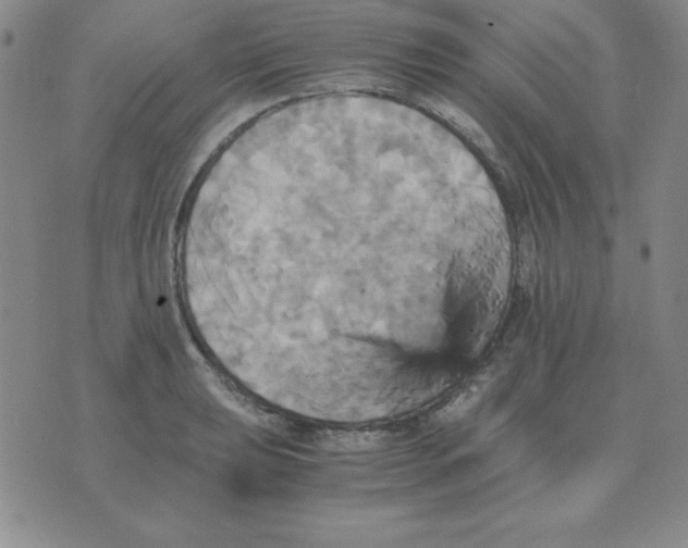 X0000075861039200610061932