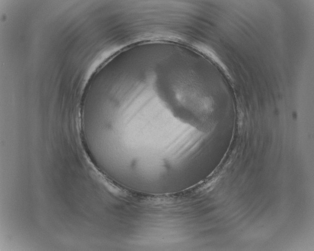 X0000075861040200610061932