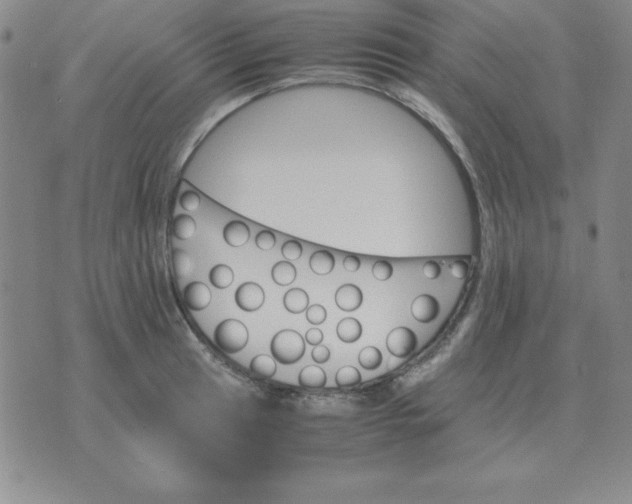 X0000075861041200610061932