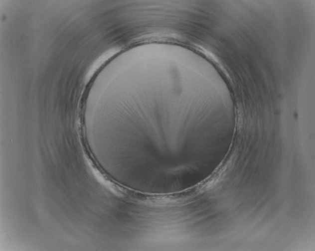 X0000075861042200610061932