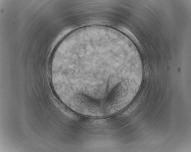 X0000075861043200610061932