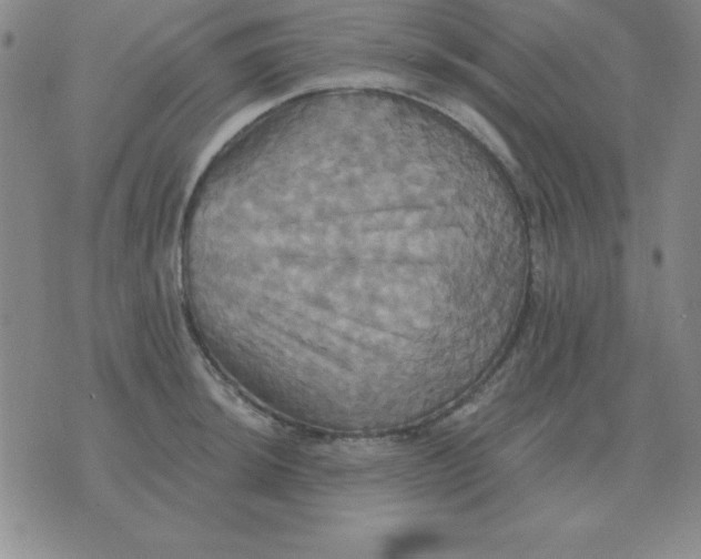 X0000075861044200610061932