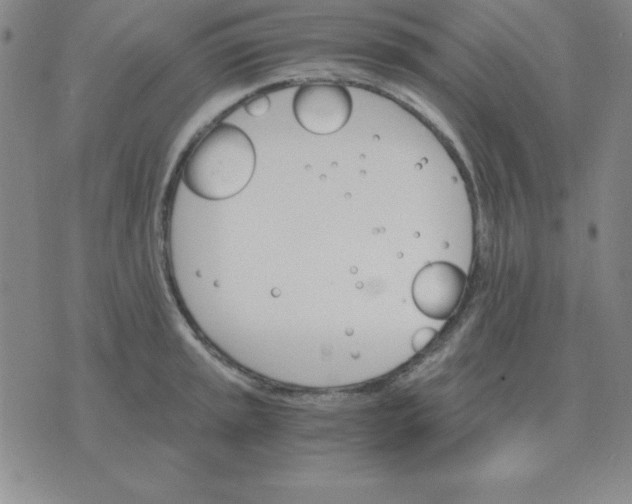 X0000075861045200610061932