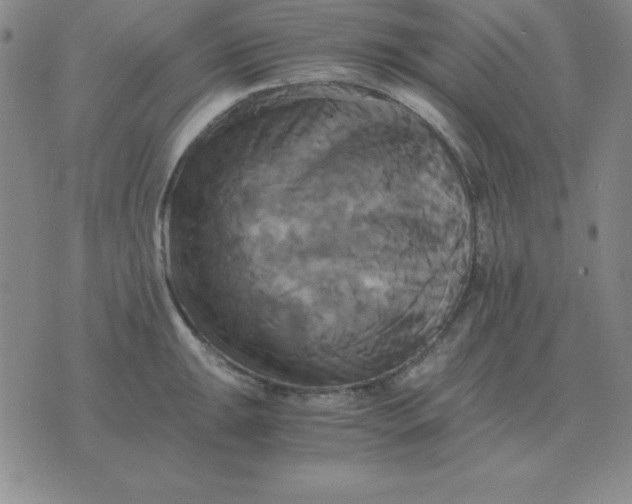 X0000075861047200610061932