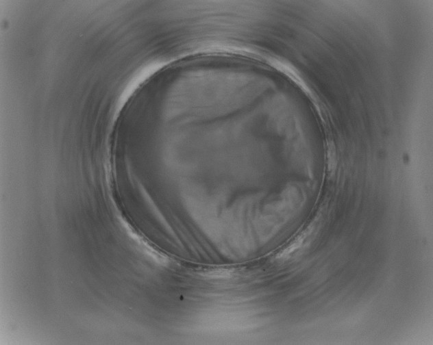 X0000075861048200610061932