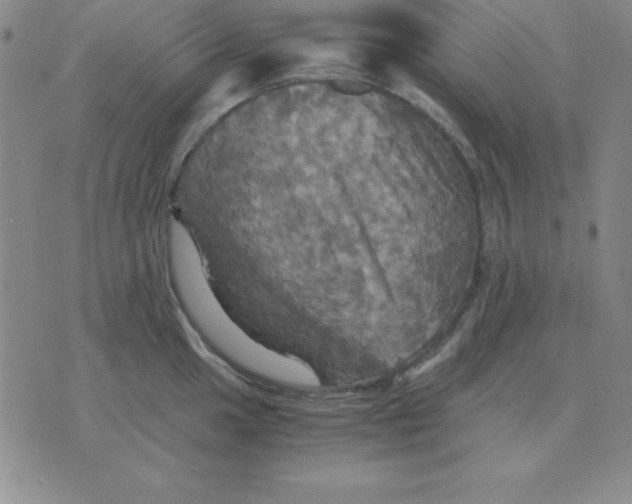 X0000075861049200610061932