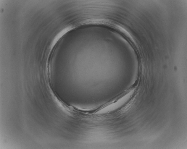 X0000075861050200610061932