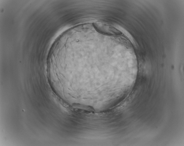 X0000075861051200610061932