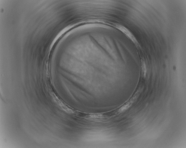 X0000075861052200610061932