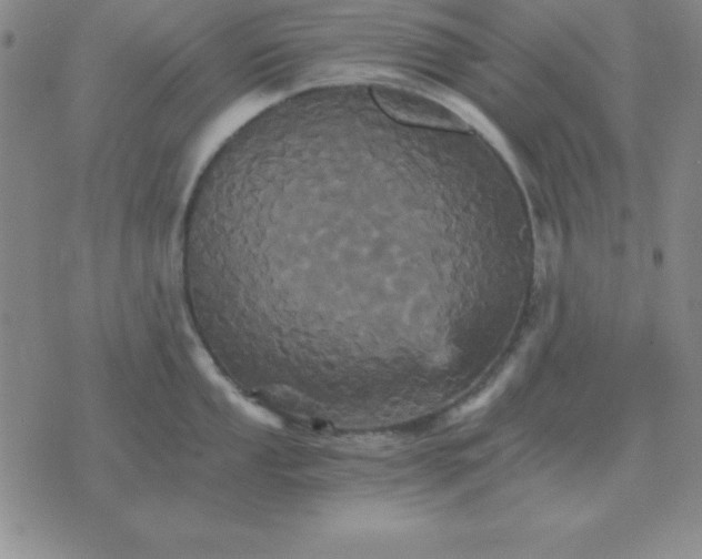 X0000075861053200610061932